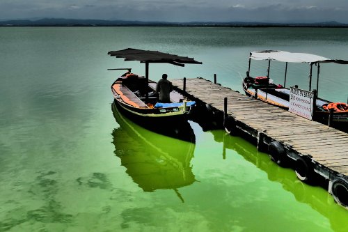 Land.Schiedeck.A.Albufera2