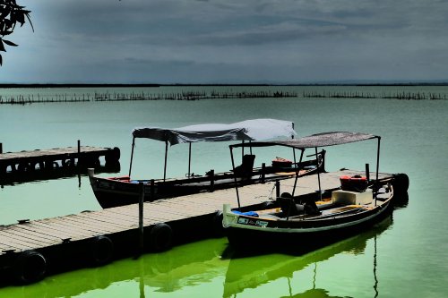 Land.Schiedeck.A.Albufera3