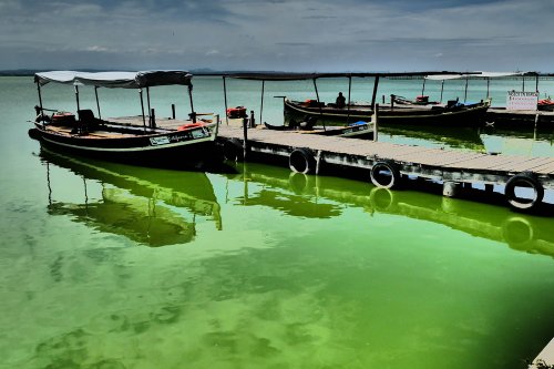 Land.Schiedeck.A.Albufera8